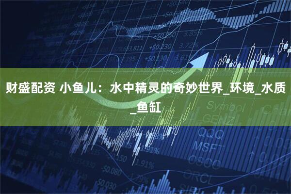 财盛配资 小鱼儿：水中精灵的奇妙世界_环境_水质_鱼缸