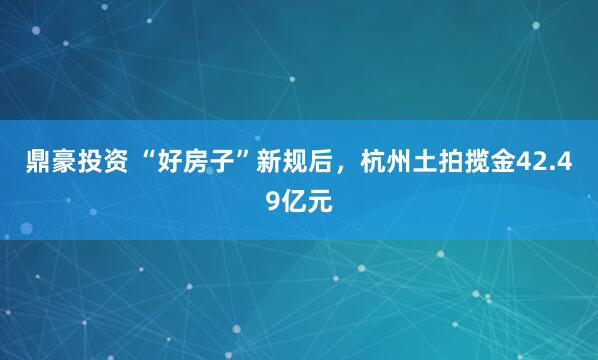 鼎豪投资 “好房子”新规后，杭州土拍揽金42.49亿元