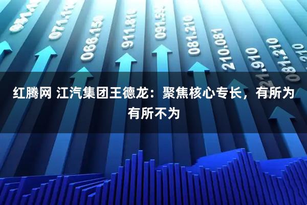 红腾网 江汽集团王德龙：聚焦核心专长，有所为有所不为