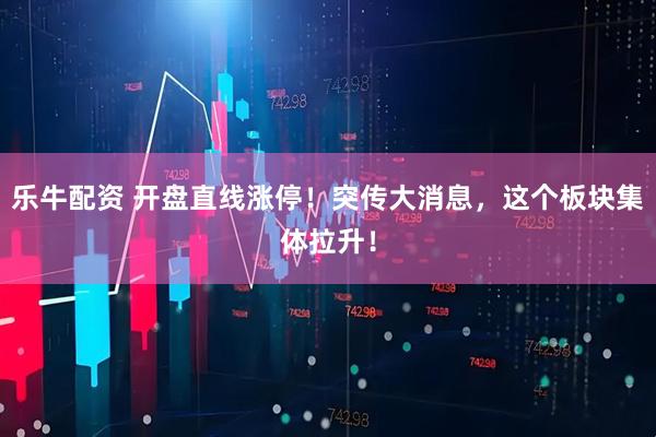 乐牛配资 开盘直线涨停！突传大消息，这个板块集体拉升！