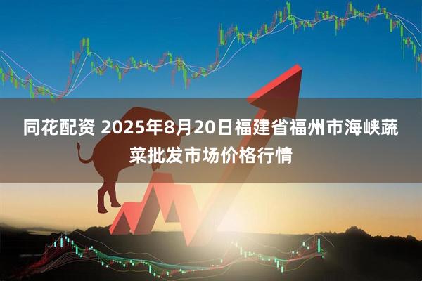 同花配资 2025年8月20日福建省福州市海峡蔬菜批发市场价格行情
