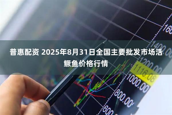 普惠配资 2025年8月31日全国主要批发市场活鳜鱼价格行情