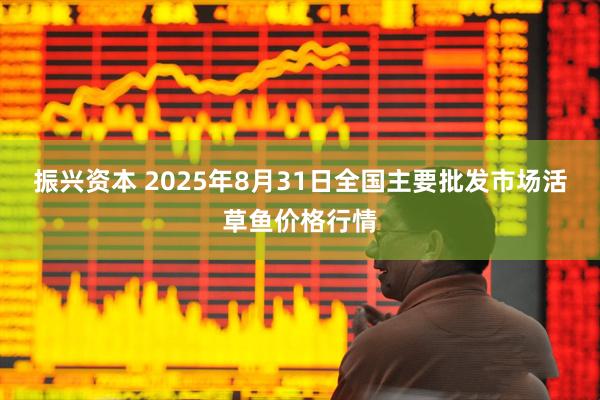 振兴资本 2025年8月31日全国主要批发市场活草鱼价格行情