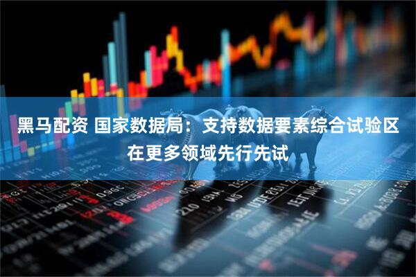 黑马配资 国家数据局：支持数据要素综合试验区在更多领域先行先试