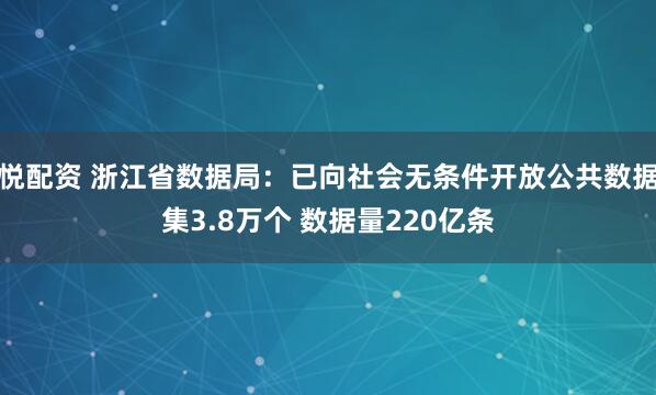 悦配资 浙江省数据局：已向社会无条件开放公共数据集3.8万个 数据量220亿条