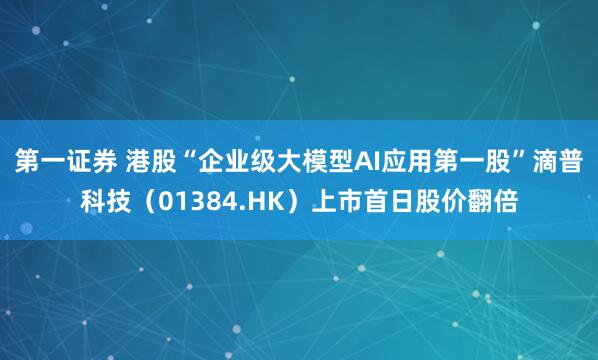 第一证券 港股“企业级大模型AI应用第一股”滴普科技(01384.HK)上市首日股价翻倍
