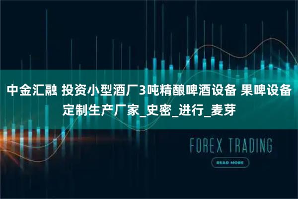 中金汇融 投资小型酒厂3吨精酿啤酒设备 果啤设备定制生产厂家_史密_进行_麦芽