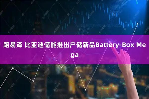 路易泽 比亚迪储能推出户储新品Battery-Box Mega